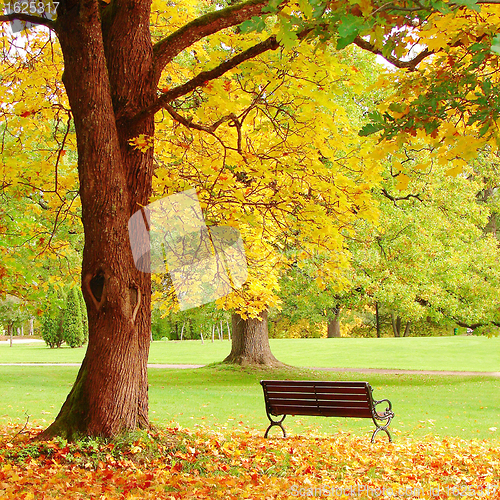 Image of Fall city park