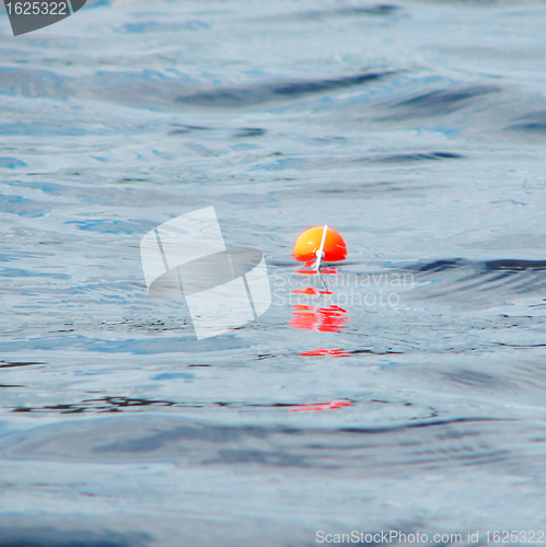 Image of Float on water