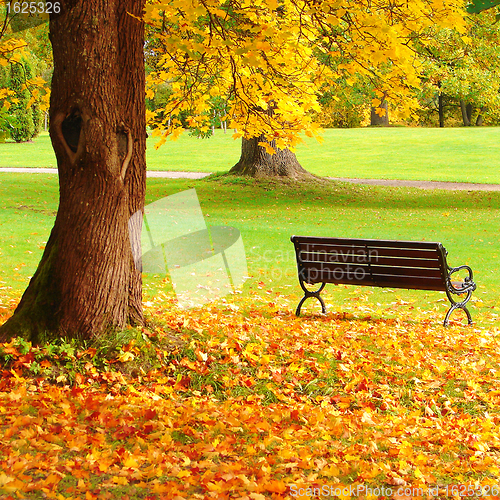 Image of City park in autumn