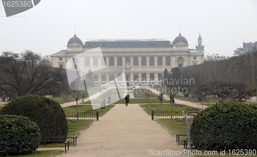 Image of museum d'histoire naturelle de Paris et jardin des plantes