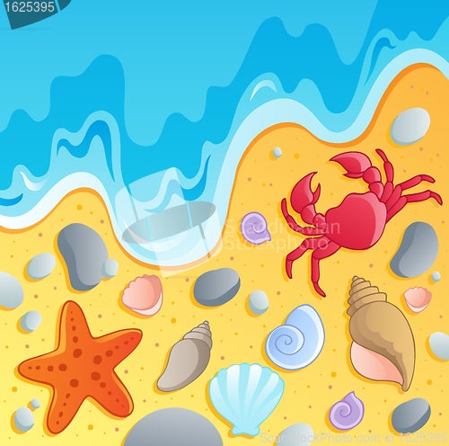 Image of Beach with shells and sea animals 1