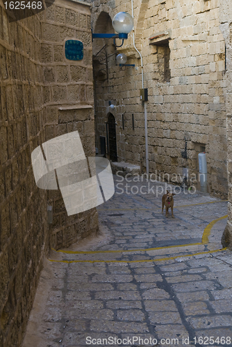 Image of Old Jaffa