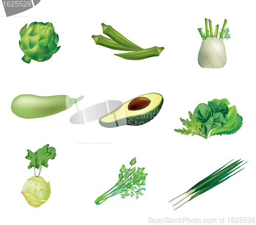 Image of Set of green vegetables