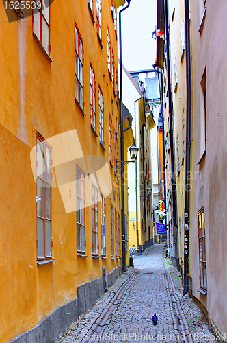 Image of Along the street of The Old Town in Stockholm