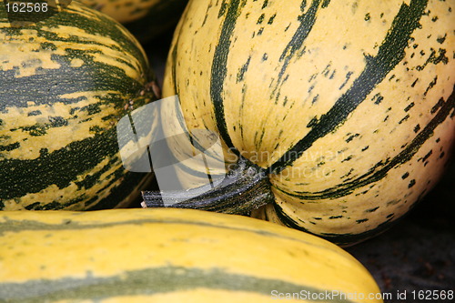 Image of pumpkins