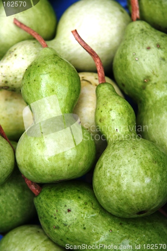 Image of Mini Gourd