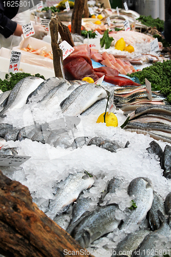 Image of Fish market