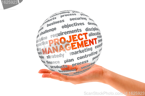 Image of Project Management