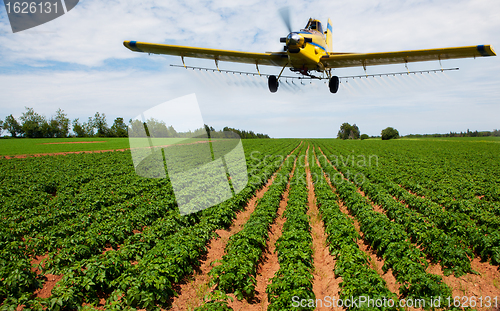 Image of Crop dusting