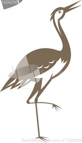 Image of crane-heron-looking-forward