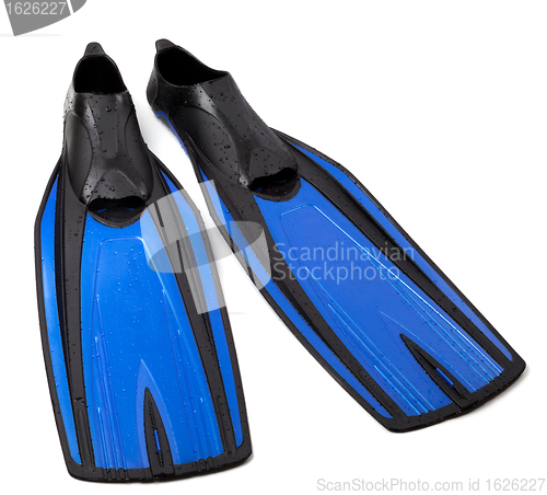 Image of Swim fins on white background
