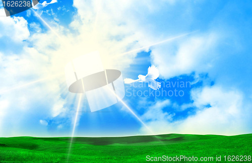 Image of sunny sky background