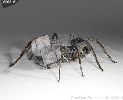 Image of metallic spider