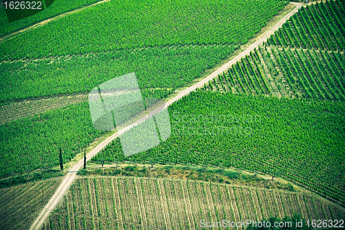 Image of Typical Tuscan landscape