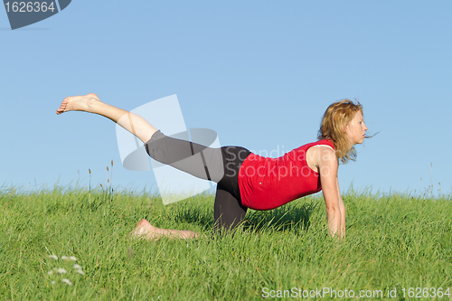 Image of pregnant woman on meadow