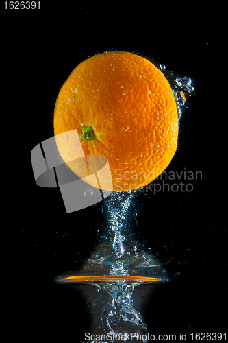 Image of fruit splash