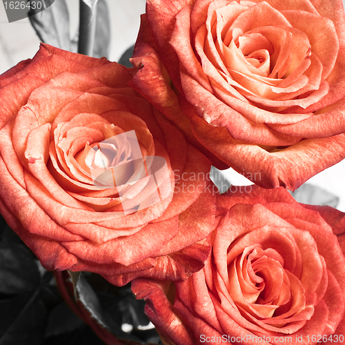 Image of rose bouquet