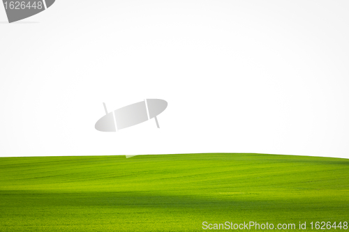 Image of green field