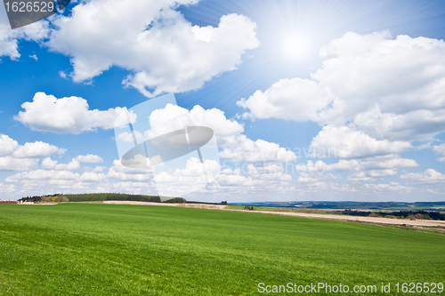 Image of green field