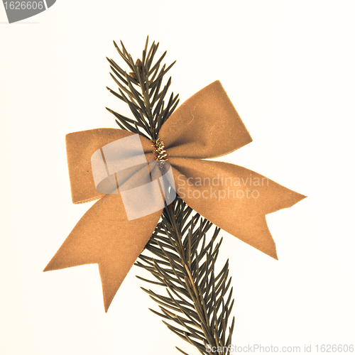 Image of decorated Christmas tree branch