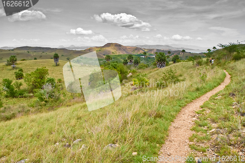 Image of Komodo Island landscape