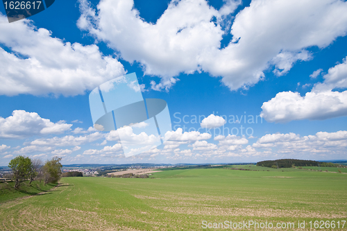 Image of green field