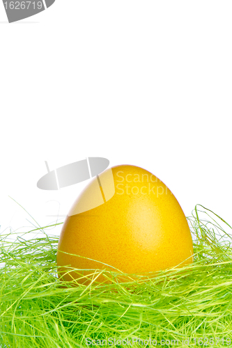 Image of easter egg in nest