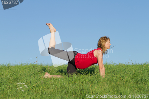 Image of pregnant woman on meadow