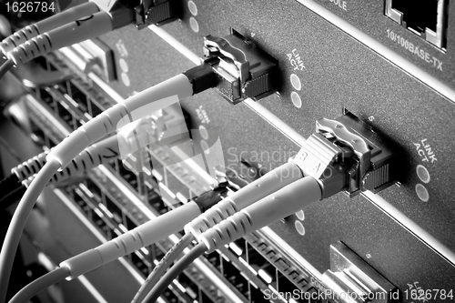 Image of network cables