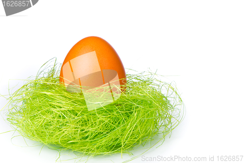 Image of easter egg in nest