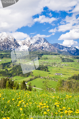 Image of alpine landscape