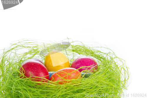 Image of easter eggs in nest