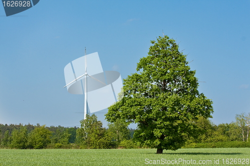 Image of windmill  farm