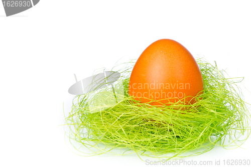 Image of easter egg in nest