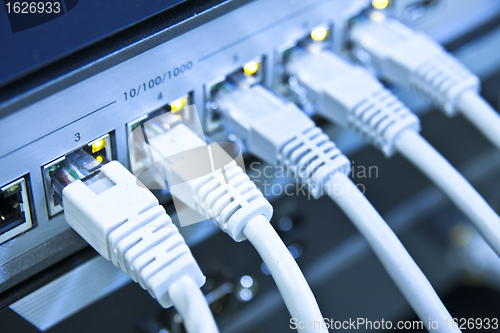 Image of network cables connected to switch