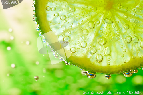 Image of lime in the water