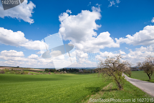 Image of green field