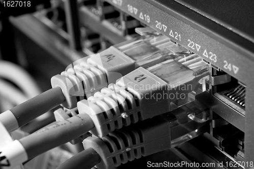 Image of network cables