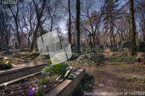 Image of old graveyard in Prag