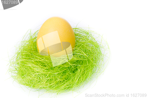 Image of easter egg in nest