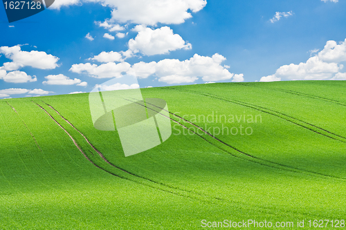 Image of green field