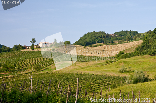 Image of Typical Tuscan landscape