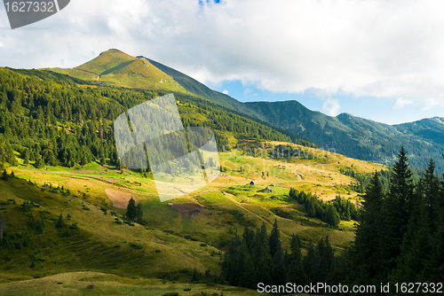 Image of Carpathian mountains landscape in Ukraine