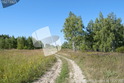 Image of Country dirt road