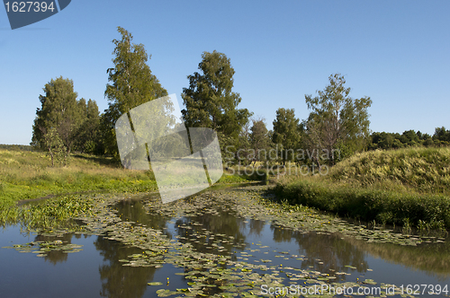 Image of Riverbank of still river in summer time