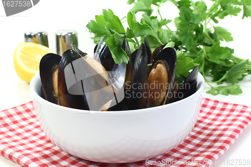 Image of Mussels