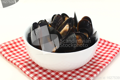 Image of Mussels