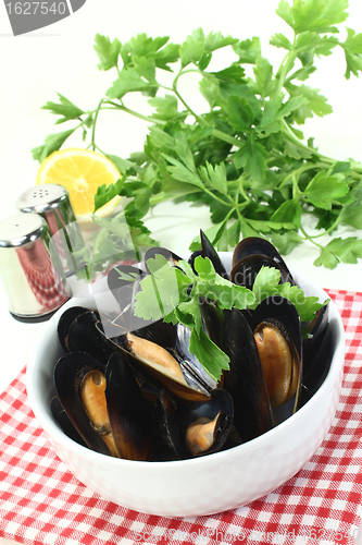 Image of Mussels