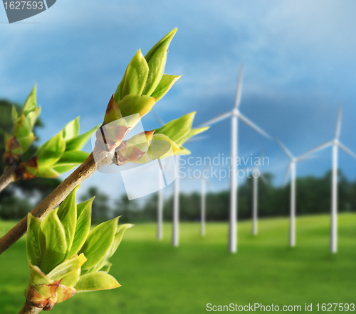 Image of Wind Turbines