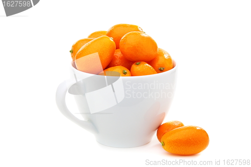 Image of Kumquats in a white cup.